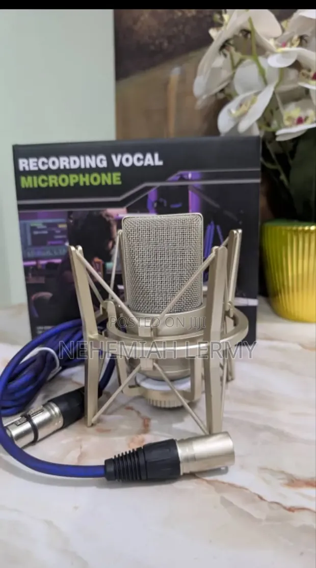 Accuphase Condenser Microphone - Short Neck - 1