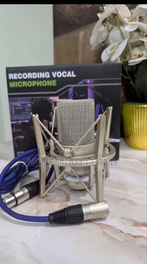Accuphase Condenser Microphone - Short Neck