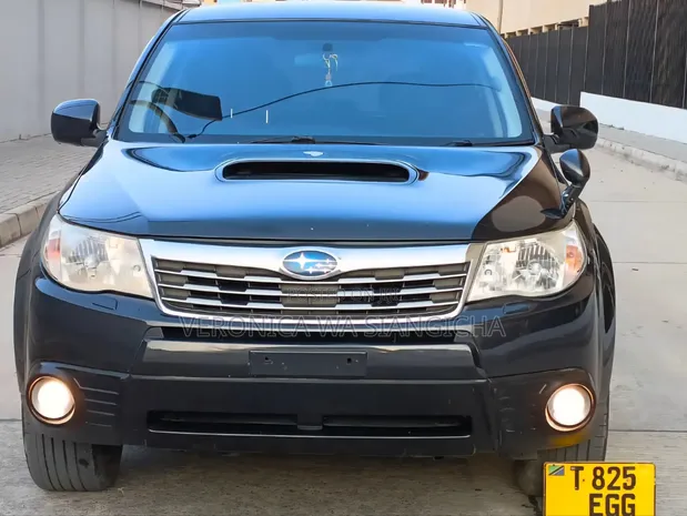 Subaru Forester 2009 Gray - 1