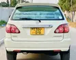 Toyota Harrier 2003 White - 3