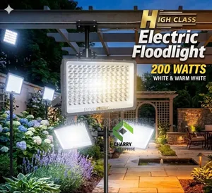 High Class 200W Electric Floodlights
