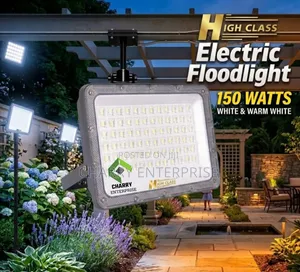 High Class 150W Electric Floodlights