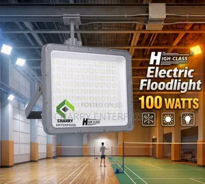 High Class 100W Electric Floodlight