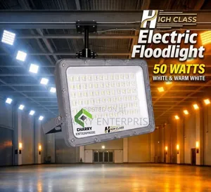 High Class 50W Electric Flood Light for Indoor/Outdoor Use