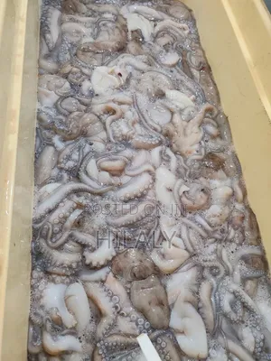 Fresh Octopus | TZS 22,000/Kg | Dar Delivery