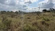 Plots for Sale - Bunju Mabwepande Project - 3