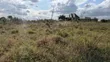 Plots for Sale - Bunju Mabwepande Project - 4