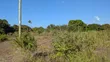 Plots for Sale - Bunju Mabwepande Project - 5