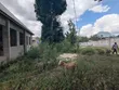 2-Bedroom House for Sale in Mbezi Kwa Msuguri, Kinondoni - 3