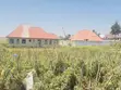 1,104 sqm Plot for Sale in Buswelu Wilayani - 5