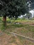 Commercial Land for Sale, Goba Njia Nne - 3