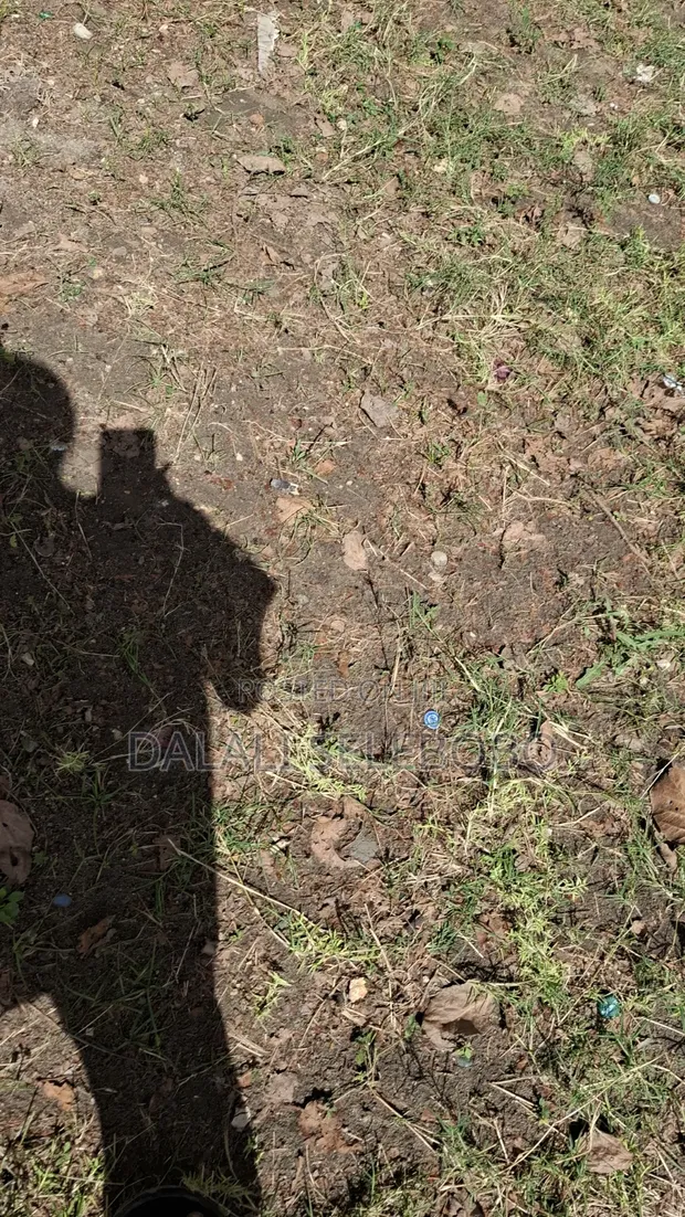 49 Hectares Land for Sale in Mbwewe, Chalinze - 1