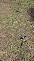 49 Hectares Land for Sale in Mbwewe, Chalinze - 2