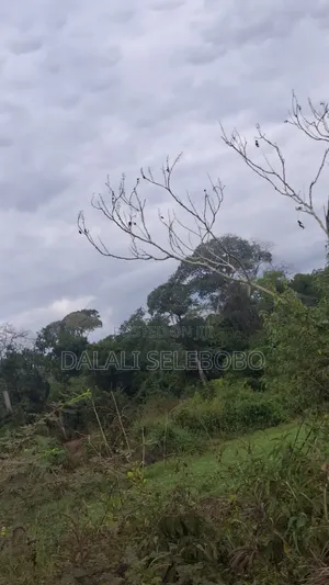 49 Hectares Land for Sale in Mbwewe, Chalinze