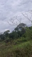 49 Hectares Land for Sale in Mbwewe, Chalinze - 4
