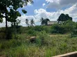5 Hectares Industrial Plot for Sale in Bagamoyo, Mapinga - 4