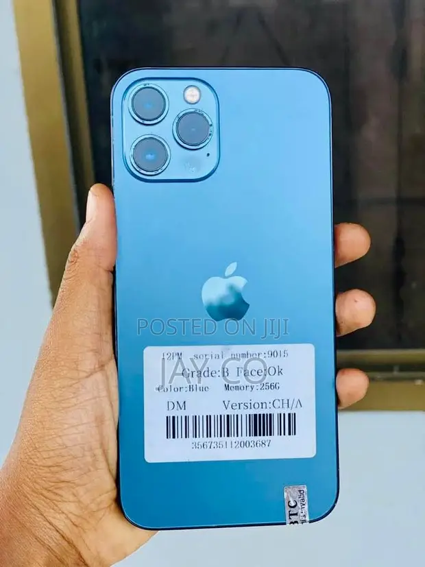 Apple iPhone 12 Pro Max 256GB Bluu - 1
