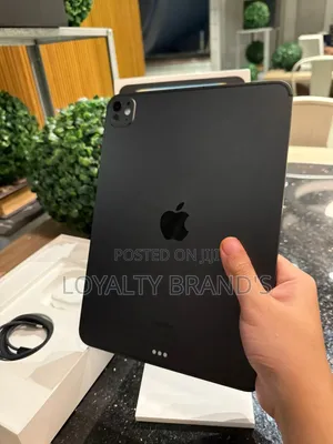 New Apple iPad Pro 11" (2024) 512GB