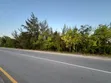 Premium Development Plot for Sale, Jambiani Zanzibar - 2
