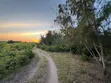 Premium Development Plot for Sale, Jambiani Zanzibar - 4