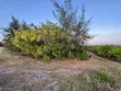 Premium Development Plot for Sale, Jambiani Zanzibar - 5