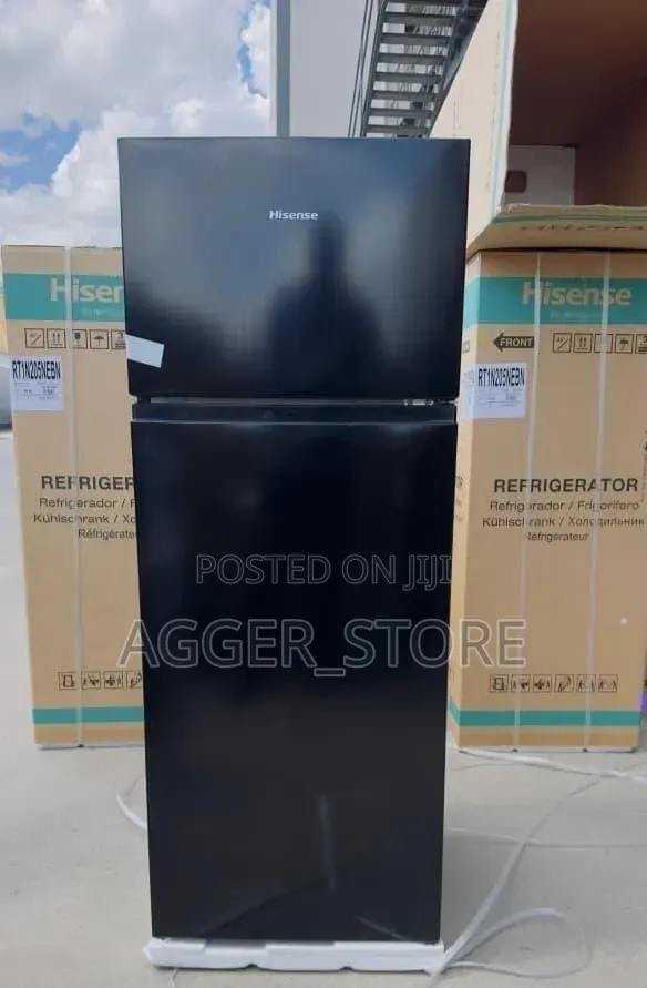Hisense Fridge RT1N205NEBN 205L - 1