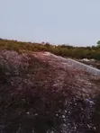 Plot for Sale in Bwejuu, Zanzibar - 1