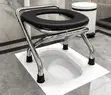 Foldable Stainless Steel Potty Seat/Chair - 2