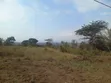 Prime Mixed-Use Land for Sale - Olasiti-Afcon Road - 5