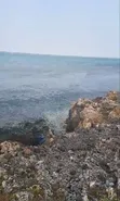 Kiwanja cha Pwani kwa Mauzo - Makunduchi, Zanzibar - 4