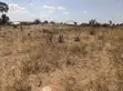 Residential Land for Sale in Zuzu, Dodoma - 2