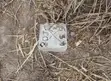 Residential Land for Sale in Zuzu, Dodoma - 3