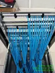 Data and Voice Networking Services - 2