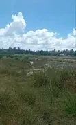 10 Acres Land for Sale in Mkuranga - 3