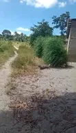10 Acres Land for Sale in Mkuranga - 5