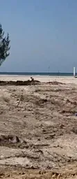 Beach Plot for Sale at Kigamboni - 1
