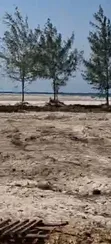 Beach Plot for Sale at Kigamboni - 4