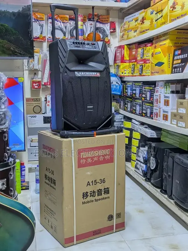 Temeisheng Speaker with 2 Wireless Rechargeable Microphones - 1