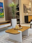 Modern Design Coffee Table - 1