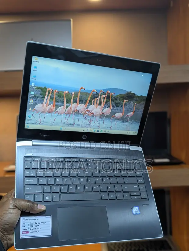 New HP ProBook 430 G5 Laptop - 8GB RAM, 256GB SSD - 1