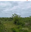 Land for Sale - Buyuni Chanika (20250 sqm) - 3