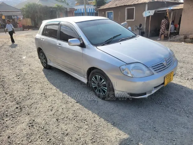 Toyota Allex 2004 Brown - 1
