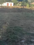 Land for Sale in Mabwepande, Bunju - 5