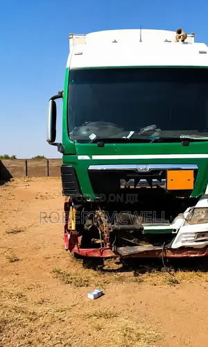 MAN TGX Truck for Sale