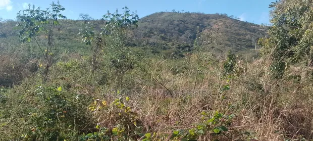 Pangawe Farmland for Sale, Morogoro Mjini - 1
