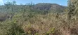 Pangawe Farmland for Sale, Morogoro Mjini - 1