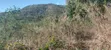 Pangawe Farmland for Sale, Morogoro Mjini - 2