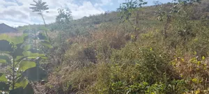 Pangawe Farmland for Sale, Morogoro Mjini