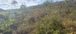 Pangawe Farmland for Sale, Morogoro Mjini - 3