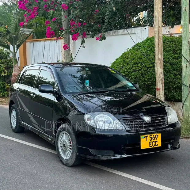 Toyota Allex 2004 Black - 1